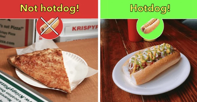 not-hotdog.jpeg